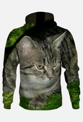 Bluza męska