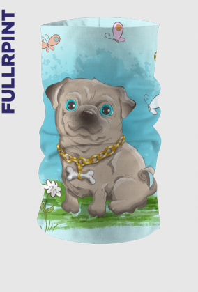 Komin - Mały Buldog Francuski