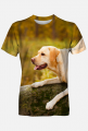 Koszulka męska FullPrint - Golden Retriver na kamieniu