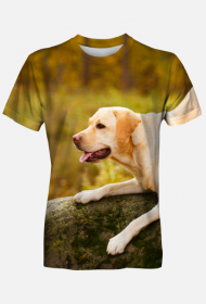 Koszulka męska FullPrint - Golden Retriver na kamieniu