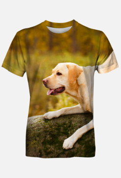 Koszulka męska FullPrint - Golden Retriver na kamieniu