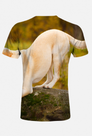 Koszulka męska FullPrint - Golden Retriver na kamieniu