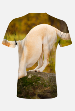 Koszulka męska FullPrint - Golden Retriver na kamieniu