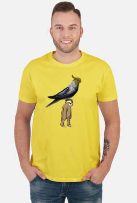 Leniwiec z papugą na głowie