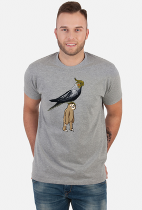 Leniwiec z papugą na głowie