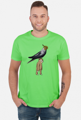 Leniwiec z papugą na głowie