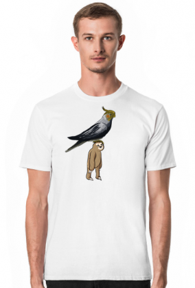 Leniwiec z papugą na głowie