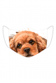 Maseczka - Malutki Cocker Spaniel