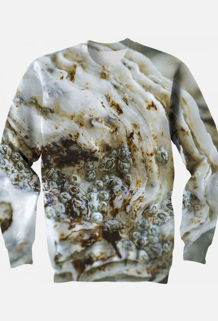 Oyster  bluza