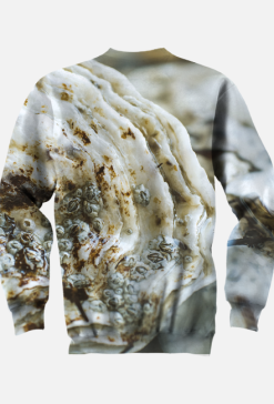 Oyster  bluza