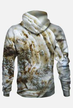 Oyster  bluza z kapturem