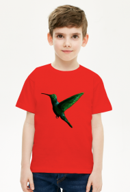 Zielony ptak koliber