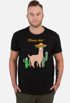 Słodka lama z sombrero wśród kaktusów.