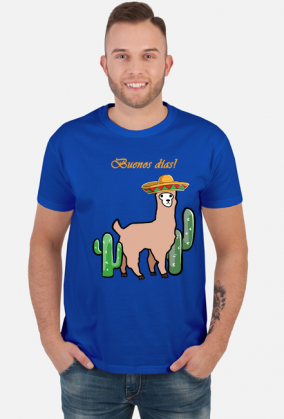 Słodka lama z sombrero wśród kaktusów.