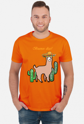 Słodka lama z sombrero wśród kaktusów.