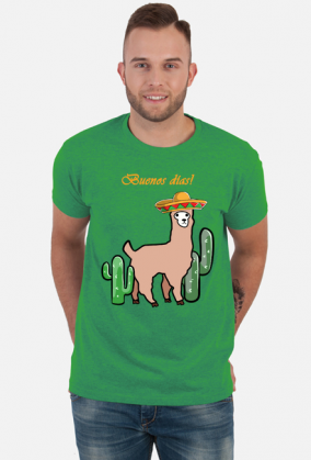 Słodka lama z sombrero wśród kaktusów.