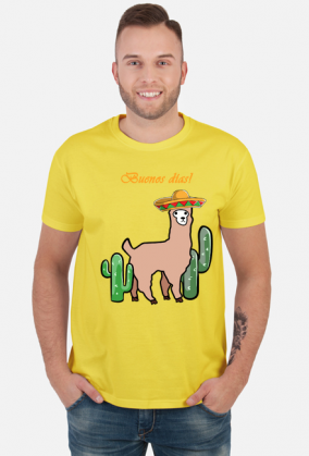 Słodka lama z sombrero wśród kaktusów.