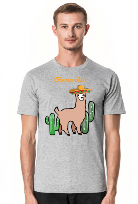 Słodka lama z sombrero wśród kaktusów.