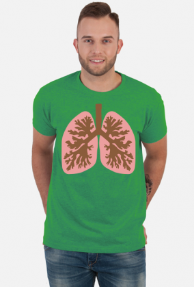 Płuca anatomia człowieka