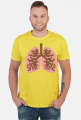 Płuca anatomia człowieka