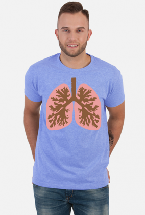 Płuca anatomia człowieka