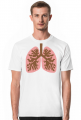 Płuca anatomia człowieka