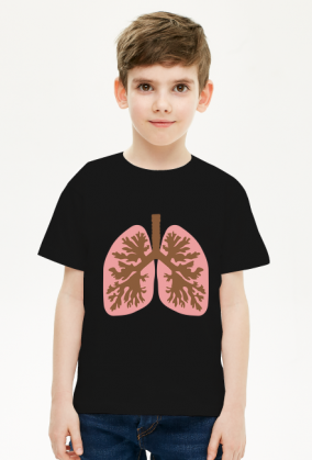 Płuca anatomia człowieka