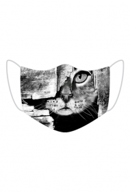 Maseczka tajemniczy kitku