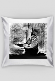 Tajemniczy kitku - poduszka