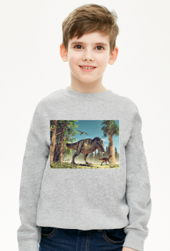 Bluza - Dinozaury.