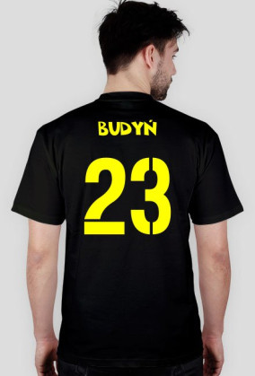 Budynx2