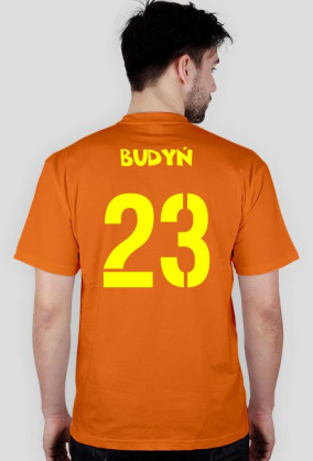 Budynx2