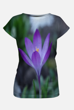 krokus