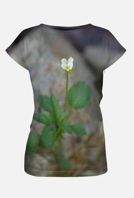 Biały kwiat na skale