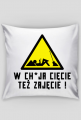 W chuja cięcie też zajęcie (poszewka) cg