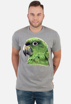 Green Parot papuga