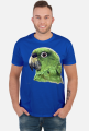 Green Parot papuga