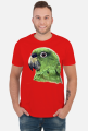 Green Parot papuga