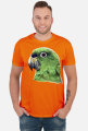 Green Parot papuga