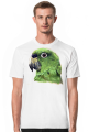 Green Parot papuga