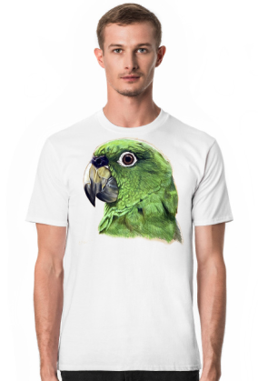 Green Parot papuga