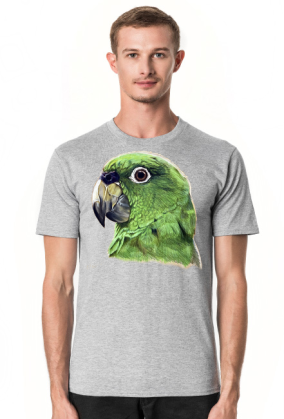 Green Parot papuga