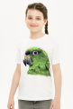 Green Parot papuga