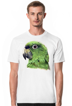 Green Parot papuga