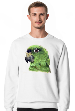 Green parot papuga