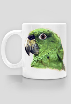 Green parot papuga