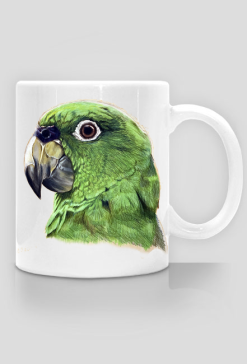 Green parot papuga