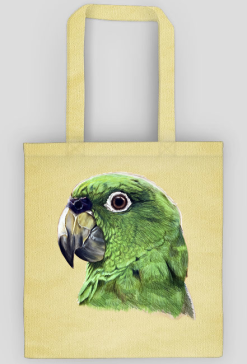 Green parot papuga