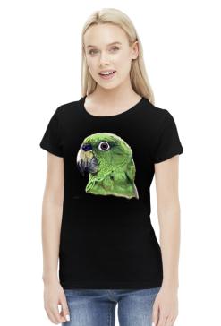Green parot papuga