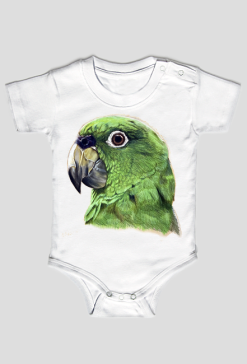 Green parot papuga